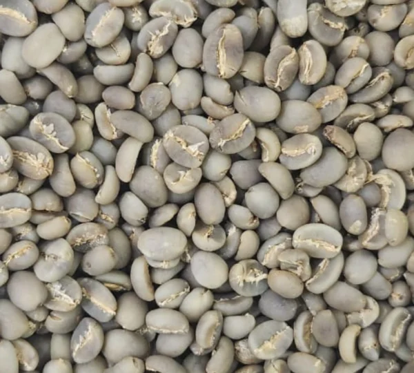 Java Preanger green beans