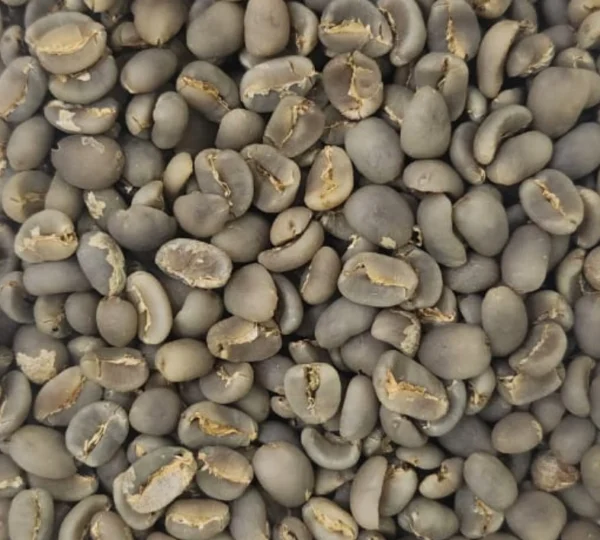 Sumatra Lintong green beans
