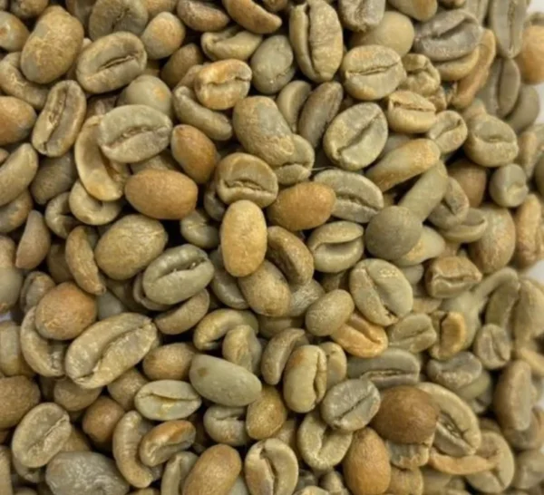Aceh Gayo Natural process green beans