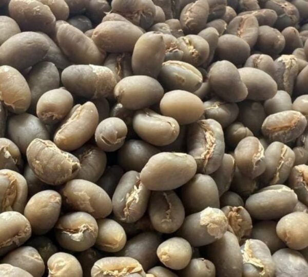 Kopi Lanang Peaberry green beans